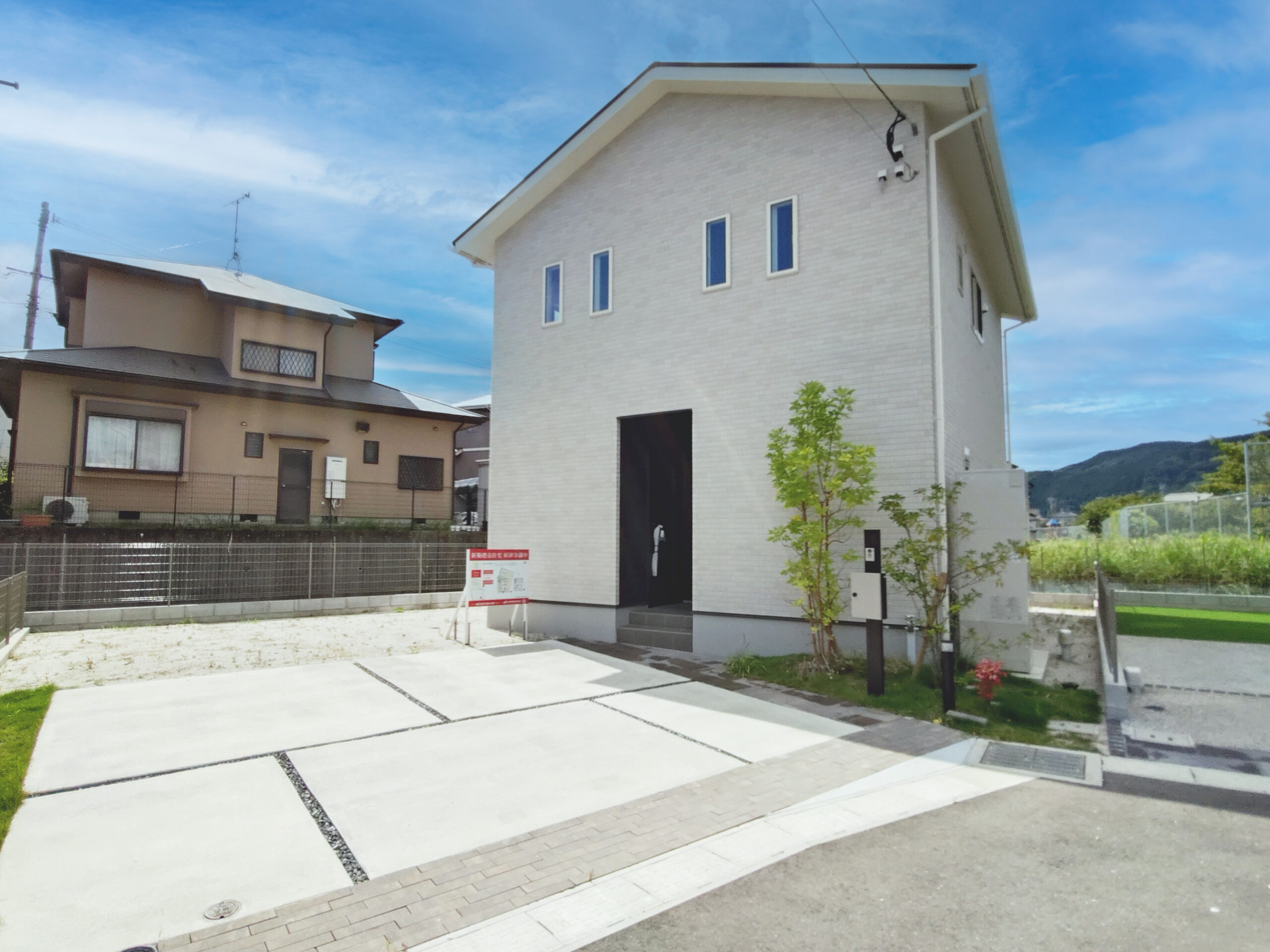 5号地